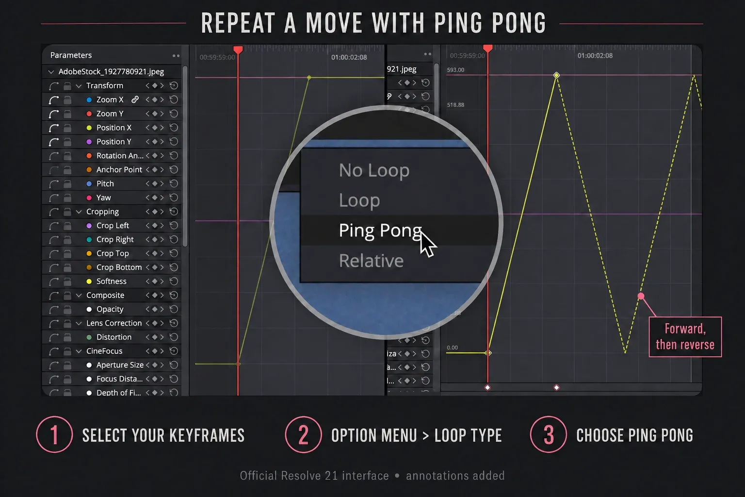 Resolve 21 Loop Type menu with Ping Pong selected and a repeating forward-reverse curve