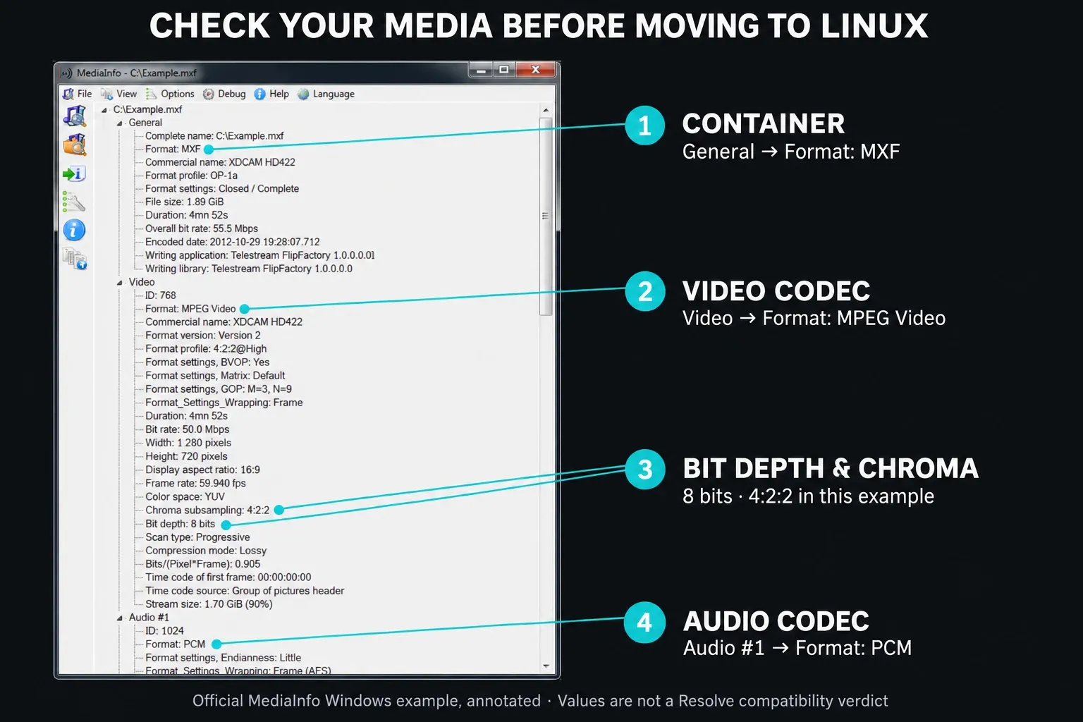 MediaInfo fields identifying container, video codec, bit depth, chroma subsampling and audio codec before Linux migration