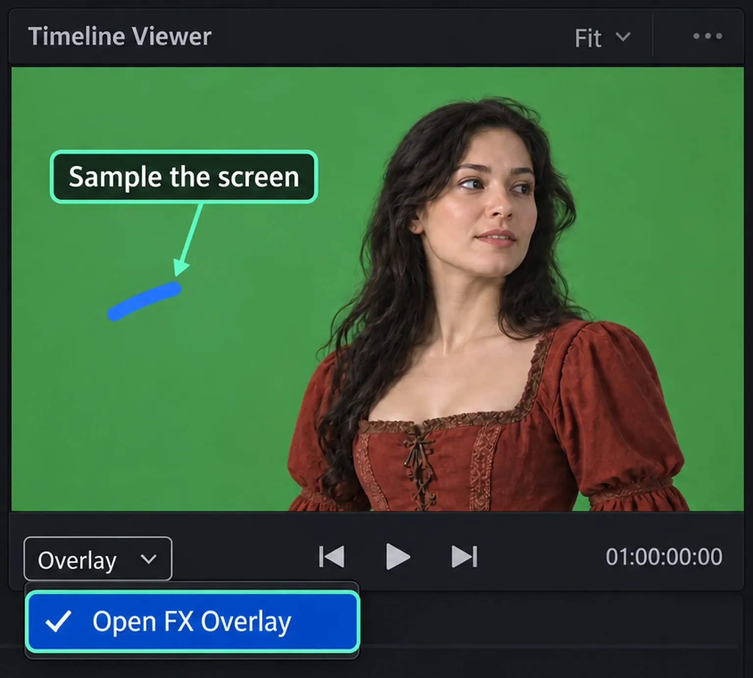 Timeline Viewer with a blue sampling stroke on empty green backing beside a performer and Open FX Overlay selected below the viewer.