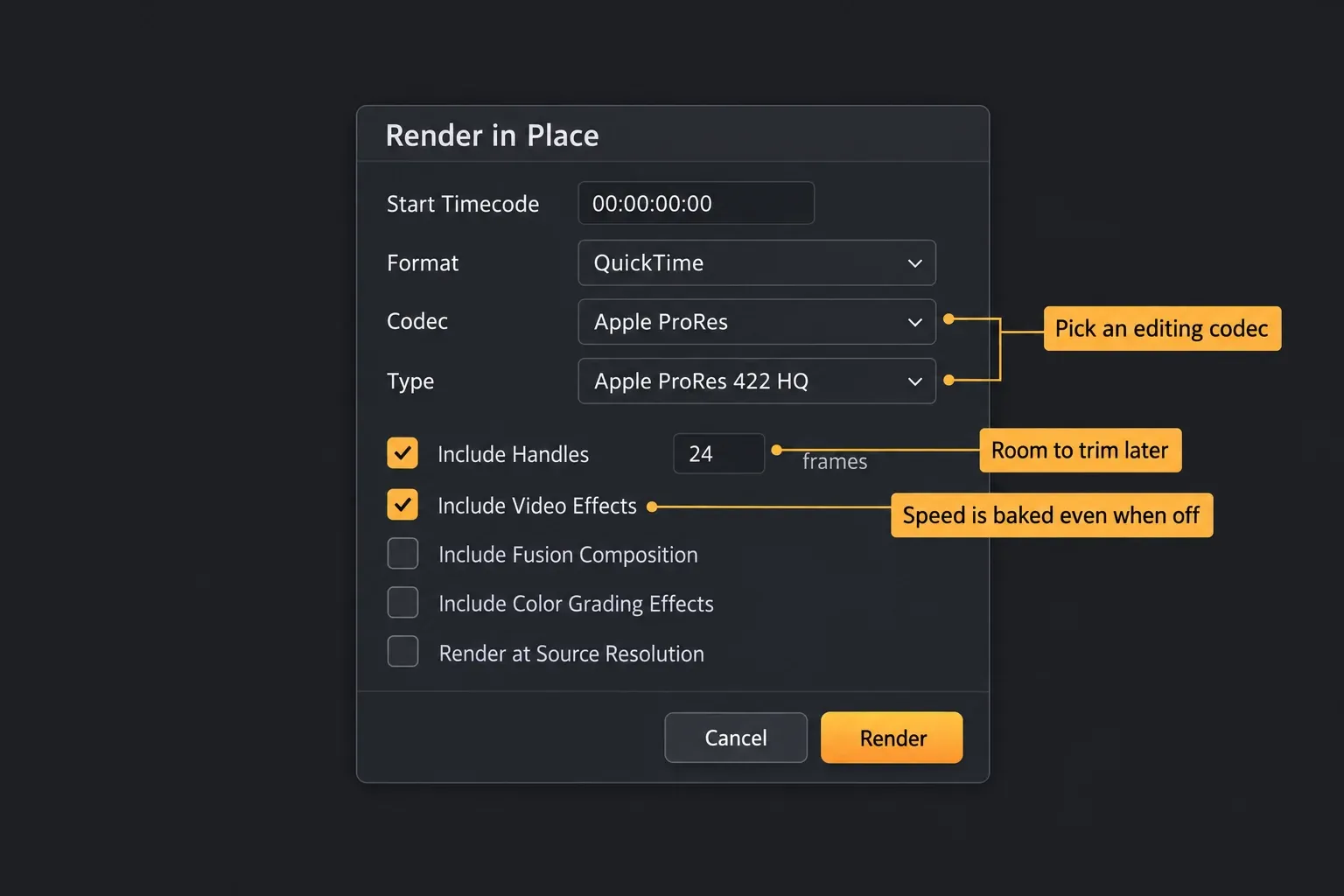 Render in Place options: QuickTime, Apple ProRes 422 HQ, 24 frames of handles and Include Video Effects on, with callouts for codec, trimming room and baked speed