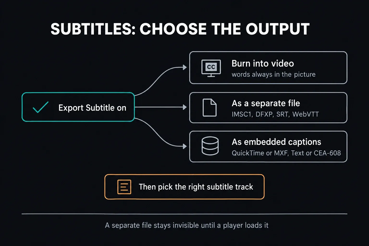 Export Subtitle switched on branches into three outputs: Burn into video, As a separate file with IMSC1, DFXP, SRT or WebVTT, and As embedded captions in QuickTime or MXF with Text or CEA-608