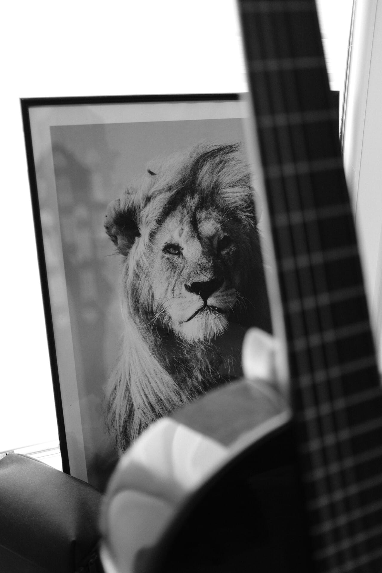 Schwarzweiß sieht auch mega aus.