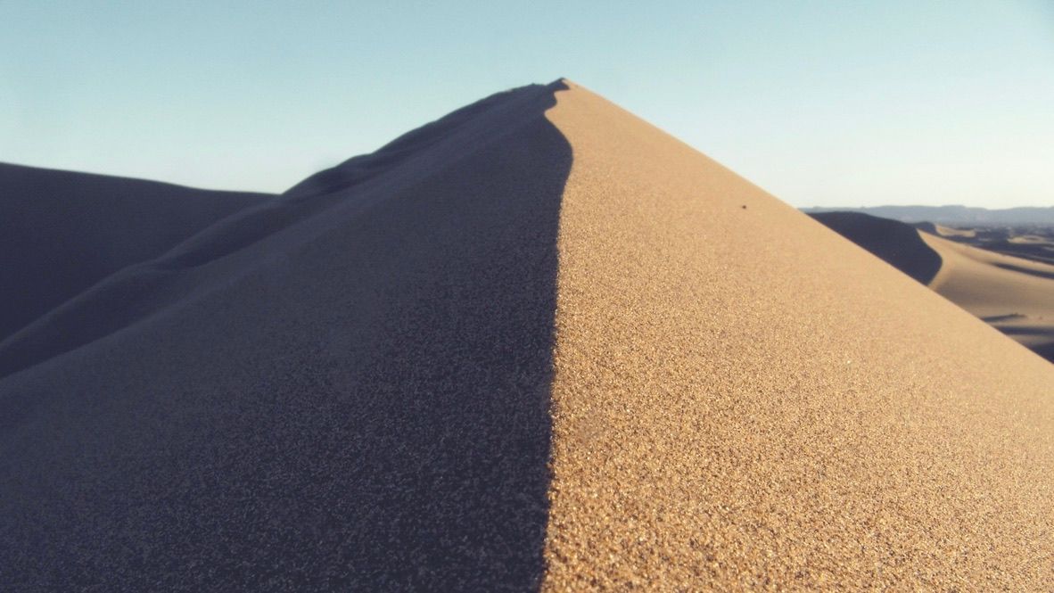 My Favorite Book Passage