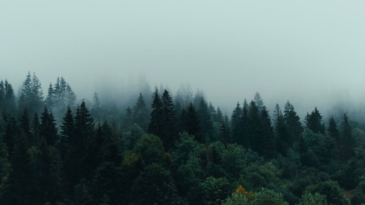 How to Be a Wise Investor