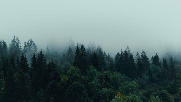 How to Be a Wise Investor