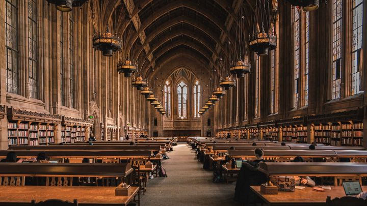 No Degree, No Problem: How to Learn Anything