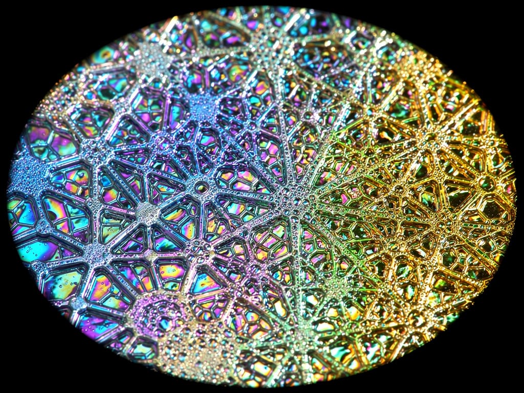 an artistic microscopic view of scalp biofilm