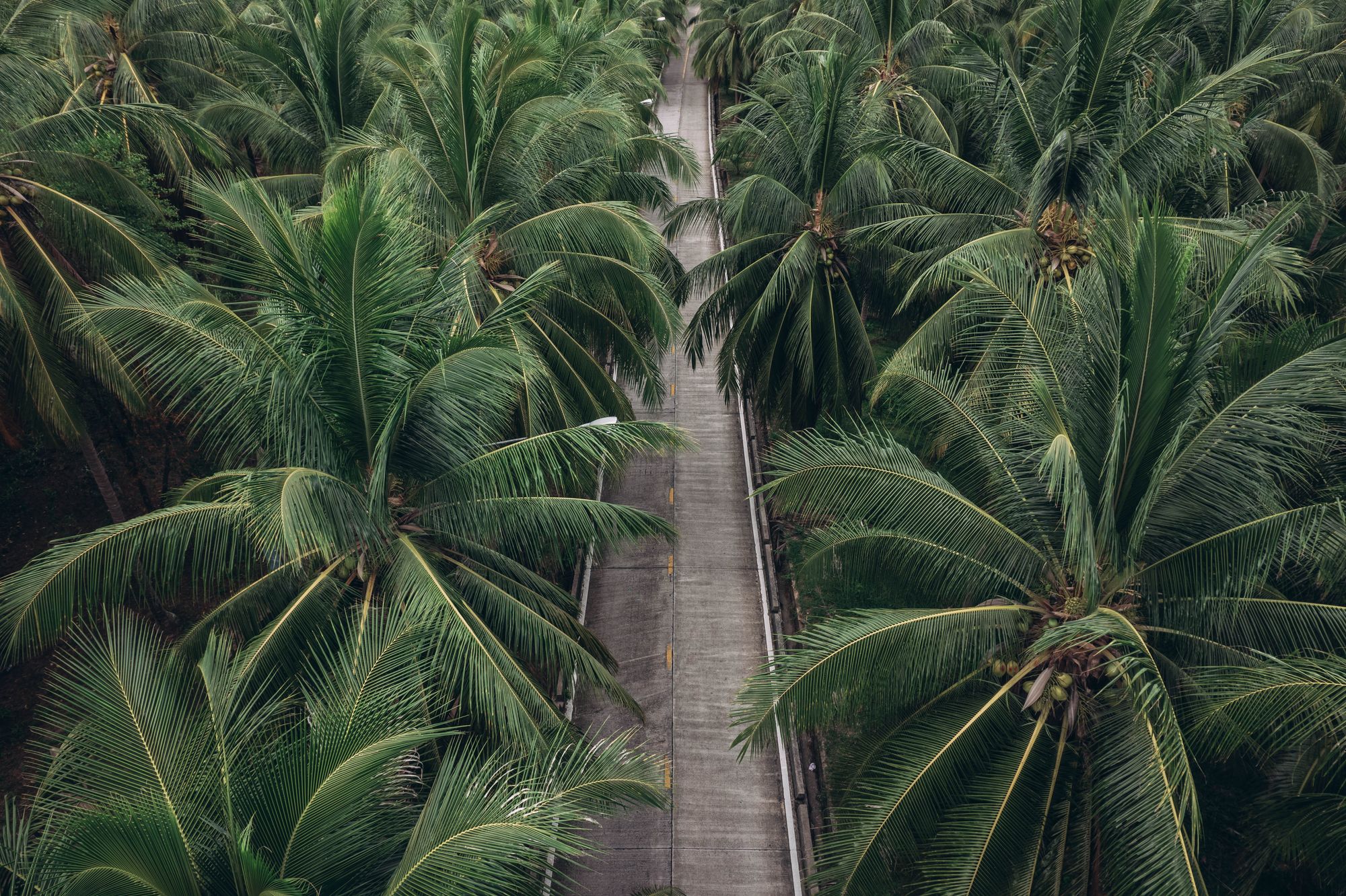 A Decade of Changes: Catching Up with Jo