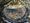 Anamorphose