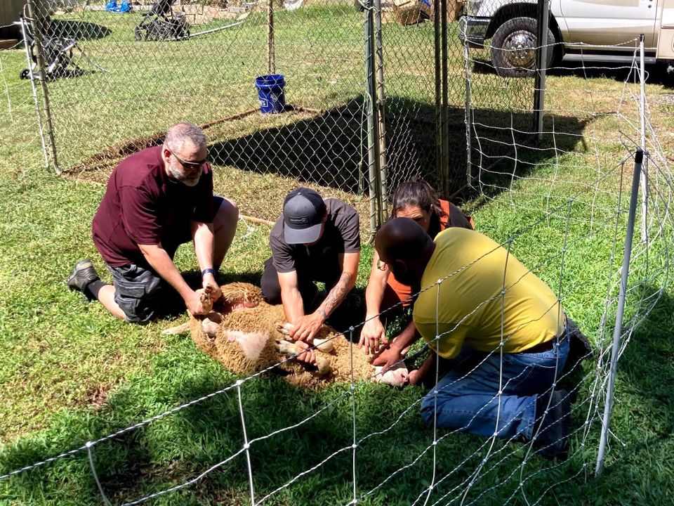 Homesteaders United Jamboree 2025 in Concord, NC