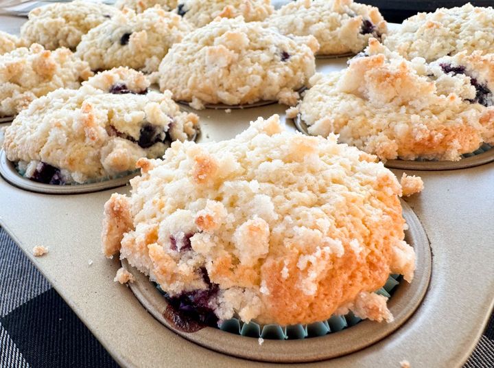 Sourdough Blueberry Muffins