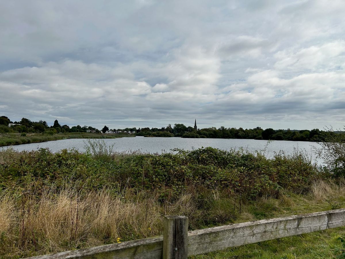 Grant given to Wildlife Trust to maintain "crucial" wetlands