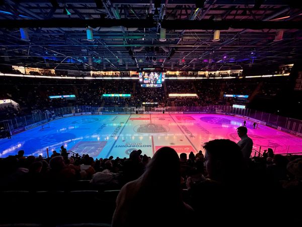Pride Night at Panthers supports youth charity
