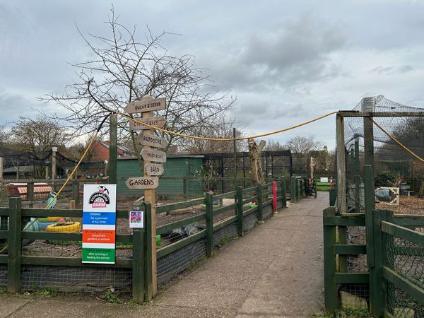 Nottingham school holidays: £3 activities at Stonebridge Farm