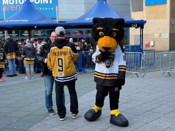 Panthers chase comeback in playoff quarter-final