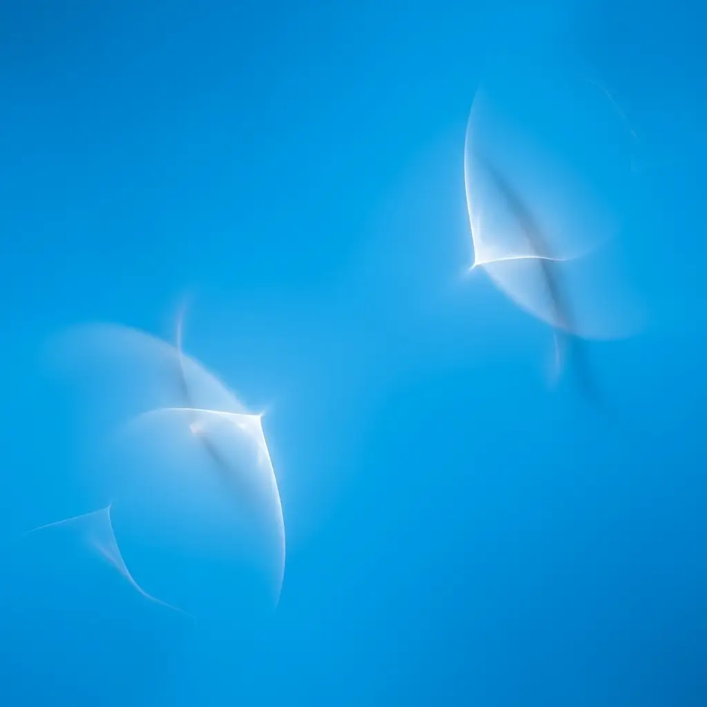 Secrets Of Contentment, How To Find Inner Peace, Lasting Happiness, Holistic Wellness, Metaphysical Spirituality, Finding Fulfillment