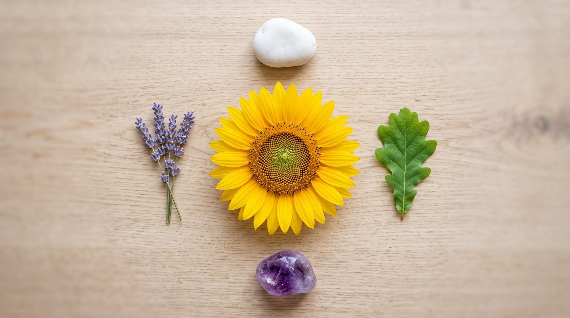 The Directional Subconscious Map (The Focus Circle), Quantum Biology, Plant Energy, Mindfulness Practices, Holistic Health, Energy Alignment, Somatic Healing, Energetic Space Design