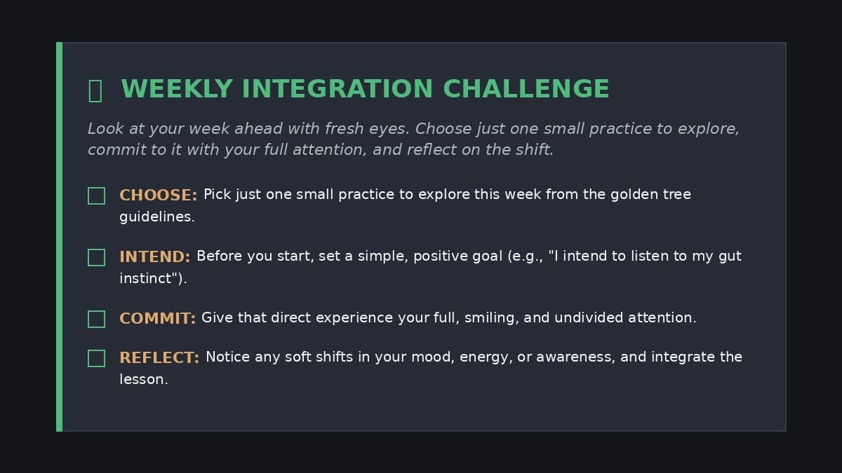 Actionable Challenge Checklist Actionable Challenge Checklist, Transforming Science And Esoteric Wisdom, Balanced Life, Present Moment Living, Higher Consciousness, Personal Growth Cycles, Holistic Health Tools, Inner Light Essence