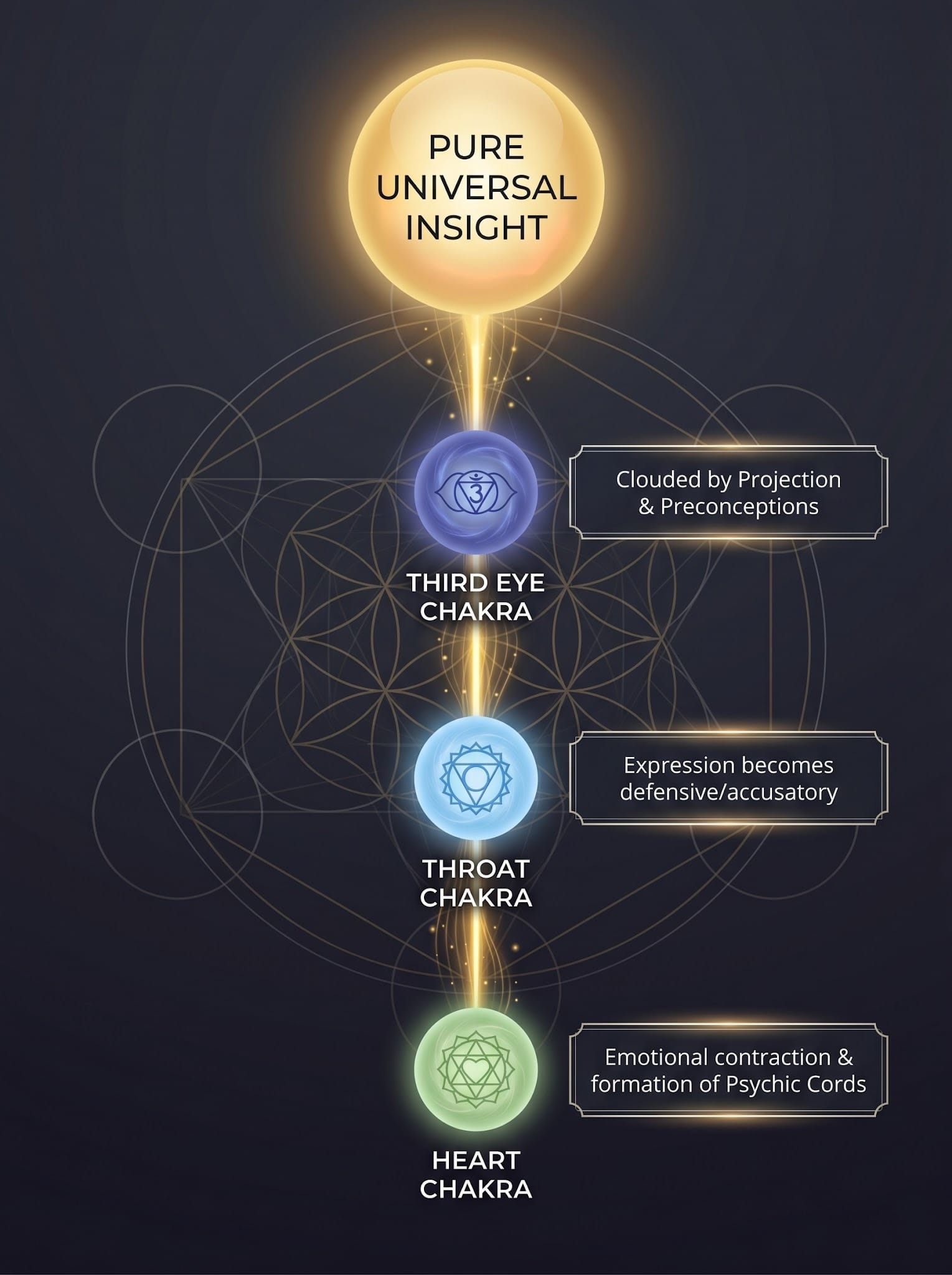 Auric Field & Chakra Imbalances Auric Field & Chakra Imbalances, Conscious Living, Mind-Body Connection, Holistic Health, Personal Growth, Mindfulness Practices, Subconscious Reprogramming, Metaphysics