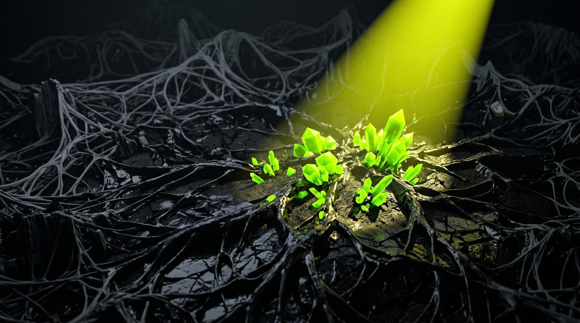 The Spotlight Node The Spotlight Node, Quantum Gardening, Somatic Grounding, Holistic Personal Growth, Neuroplasticity Training, Vagus Nerve Regulation, Mindset Auditing, Metaphysical Life Guide, Energetic Soil, Holistic Well-being