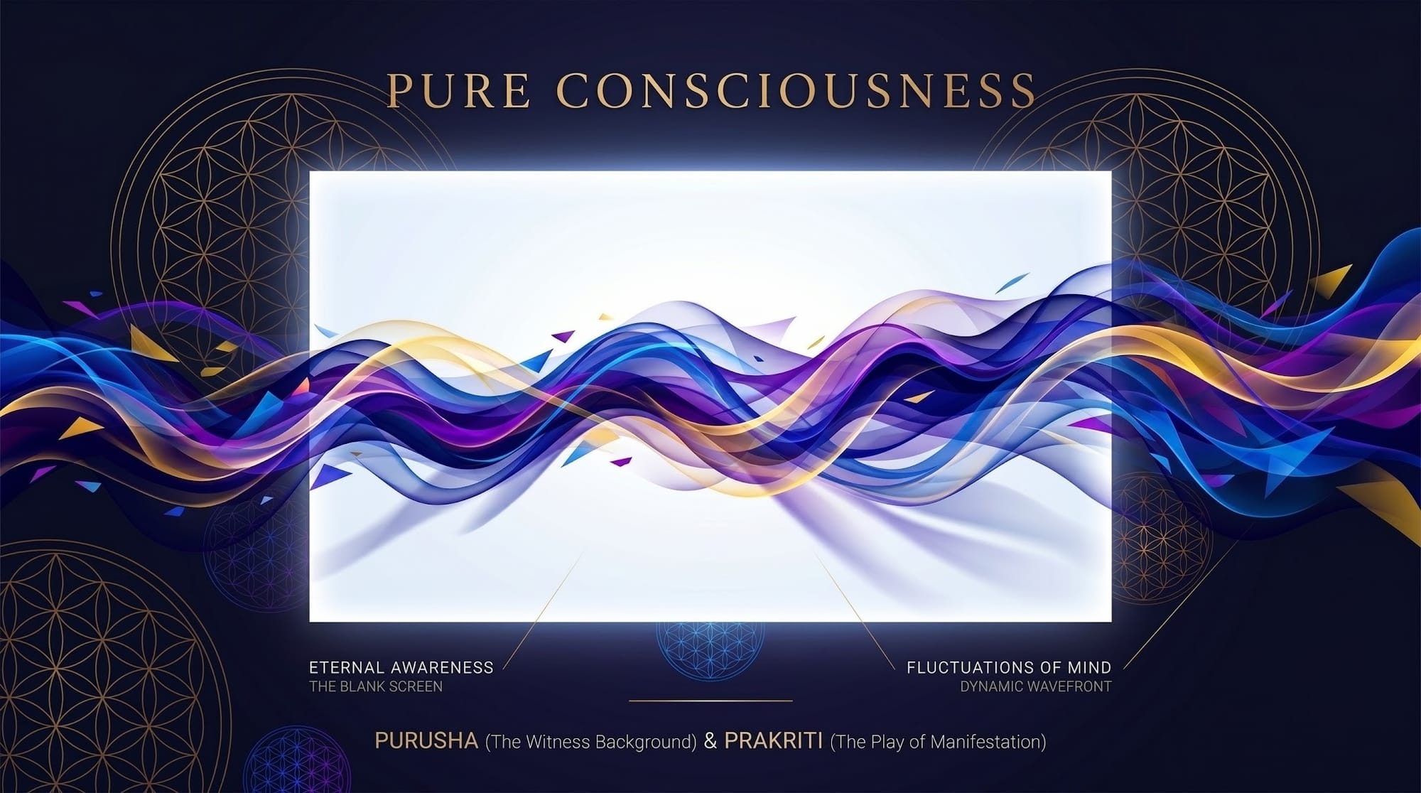 The Biological Harmony Graph, Yogic Science, Bio-Alchemical Self-Mastery, Chitta Bhumis, States Of Mind, Meditation Practices, Neurobiology Of Meditation, Emotional Resilience, Mind-Body Connection, Personal Growth, Holistic Health
