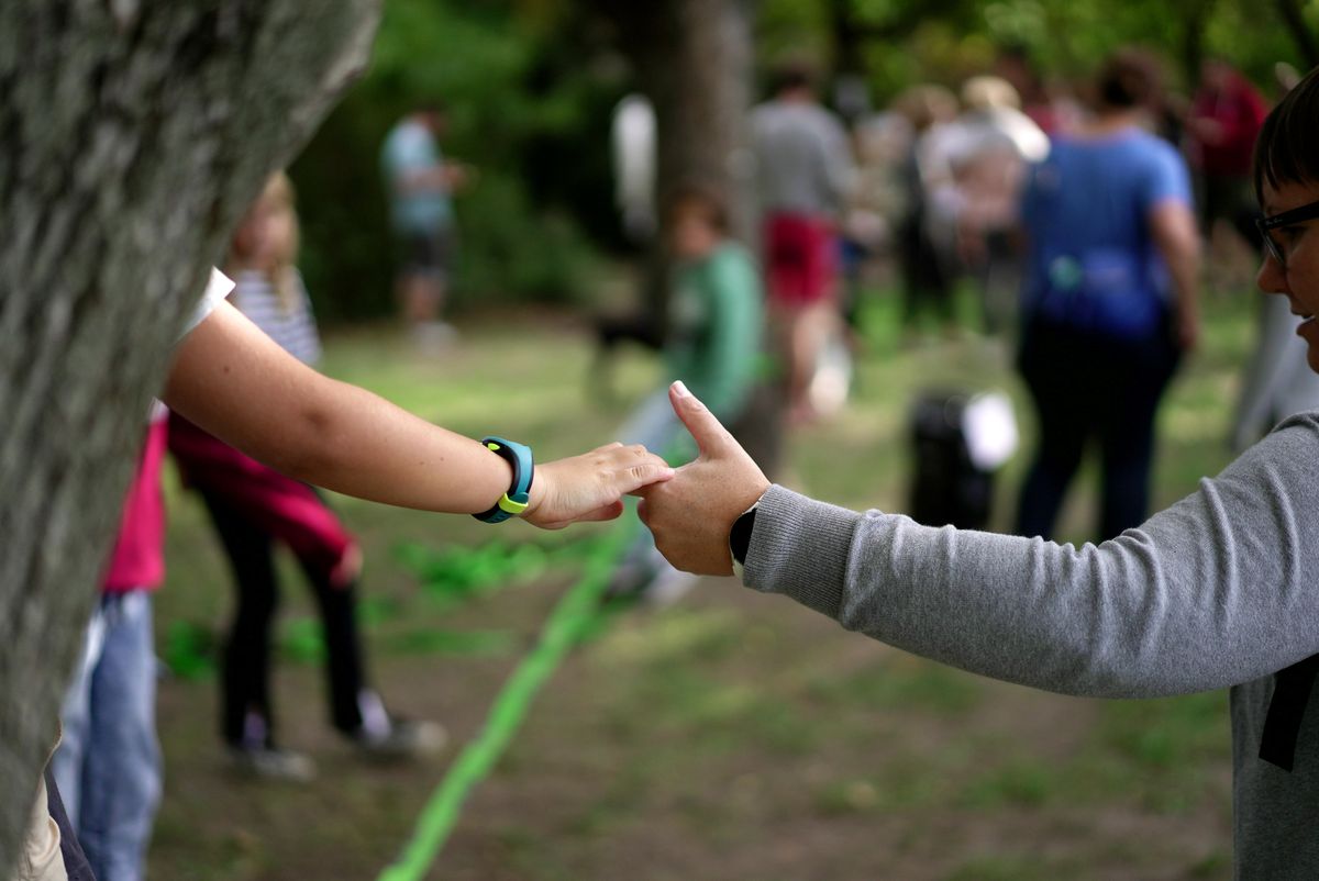 Szülői visszajelzések 2024