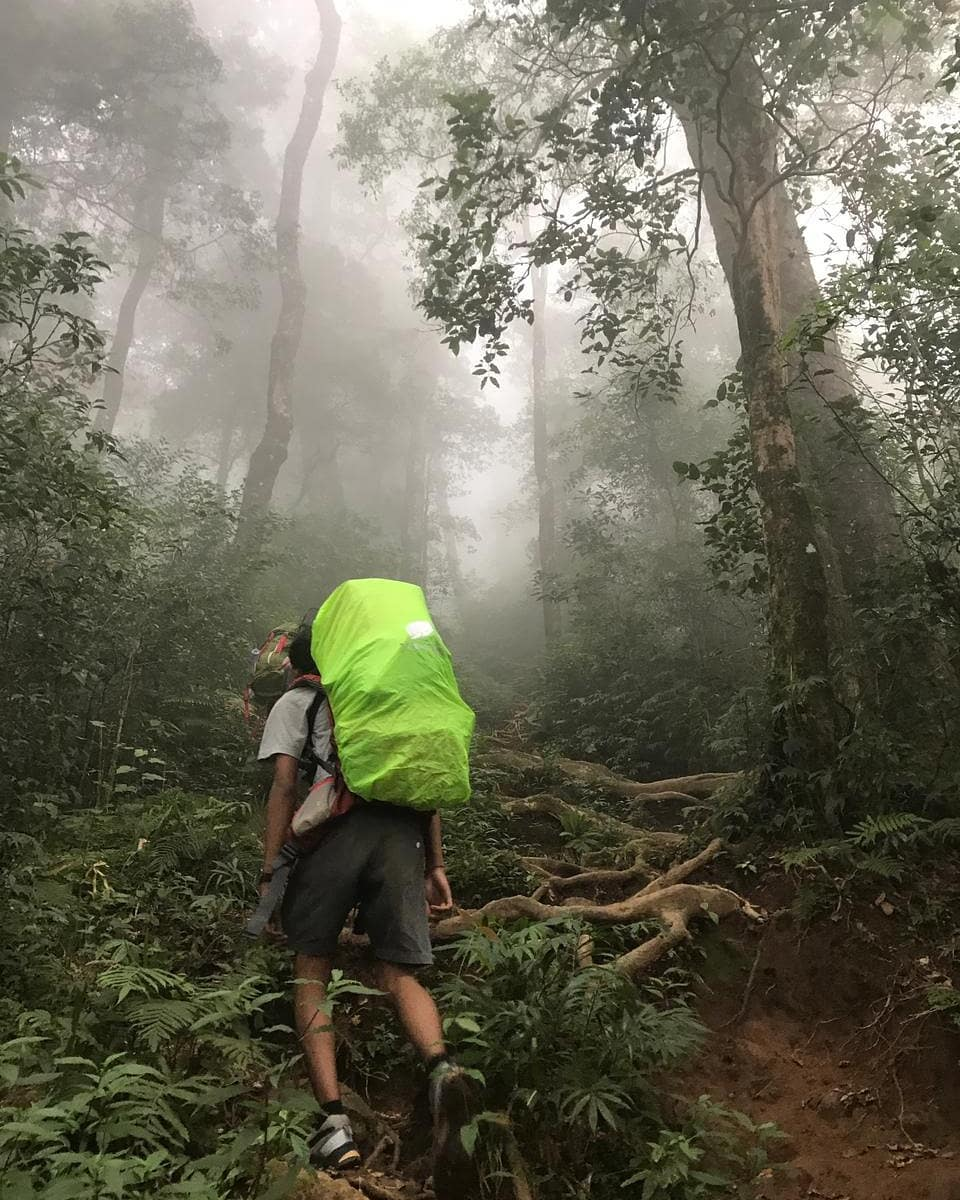 mendaki gunung batukaru bali