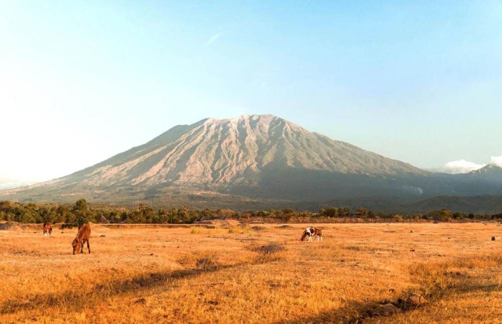 savana tianyar karangasem