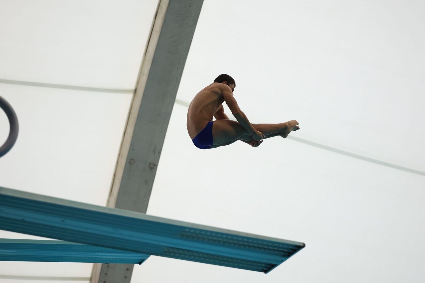 Florida diver Miguel Tovar during the home opener against Miami
