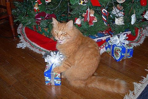 Advent Calendars That Aren’t Sh*t Chocolate