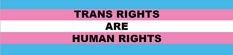 Statement on Buck Angel and “Trans Men Fight Back”