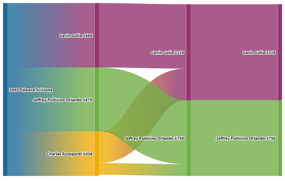How does a casual election work?