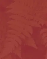 Reaction
