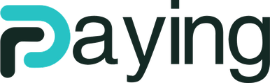 Paying.co The Payment Stack Blog