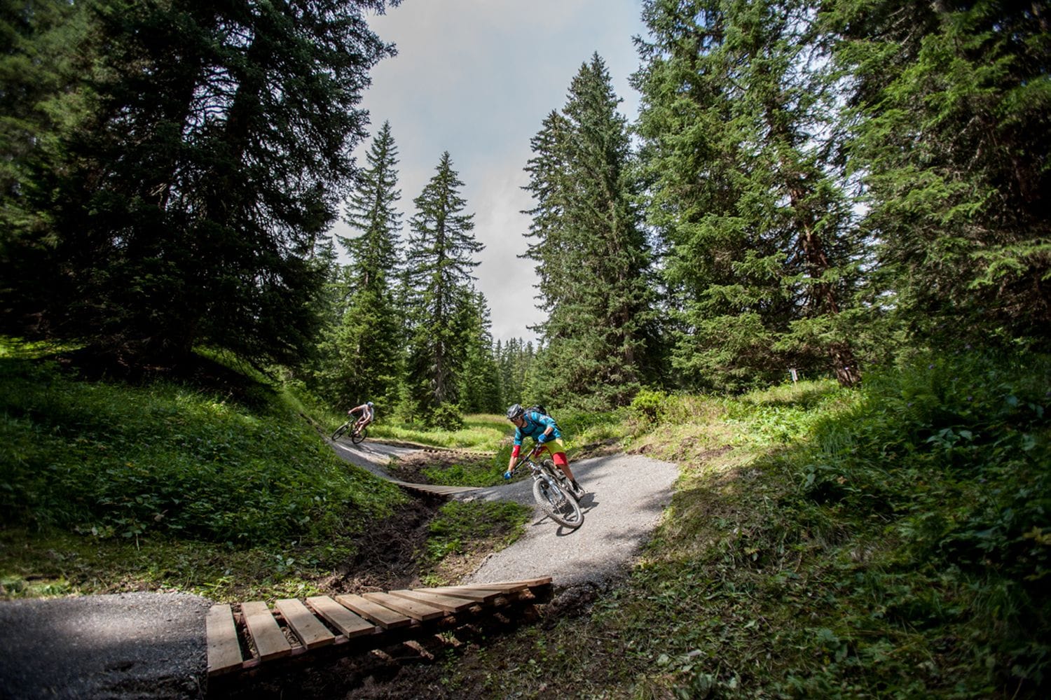 Freeride Bike Trail