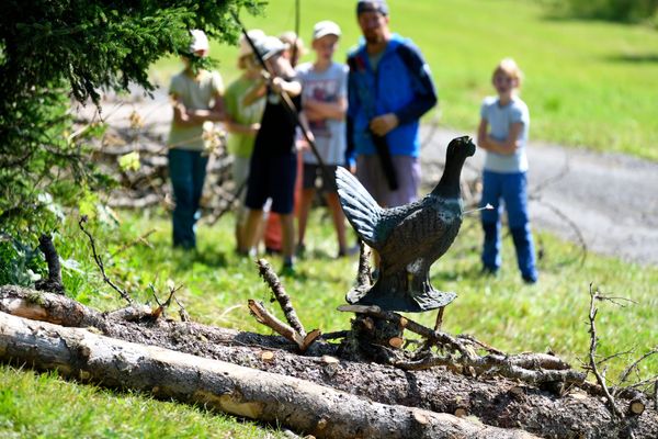 3D-Archery as an event
