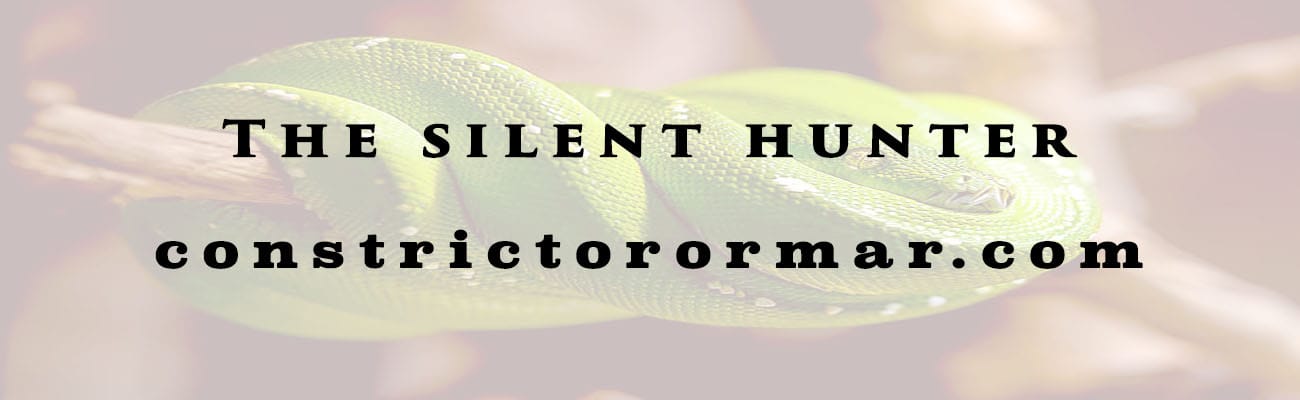 Silent hunter