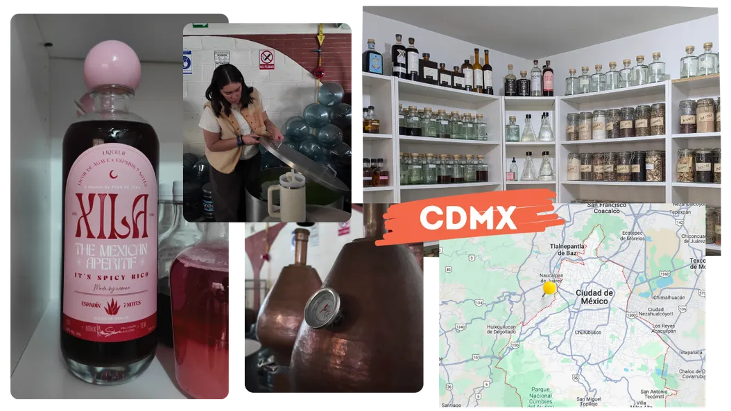 Taking an Uber to Estado de Mexico