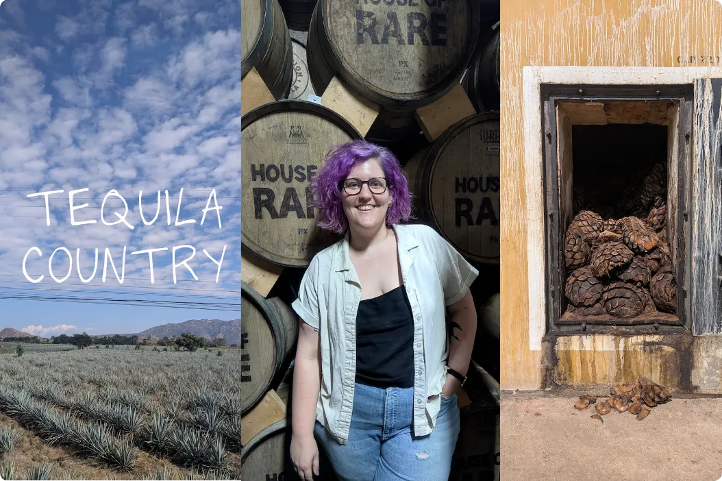 A weekend in Tequila country