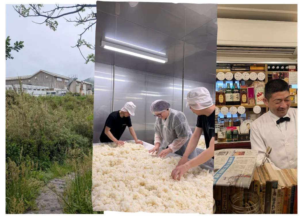 Understanding Japan, one drink at a time