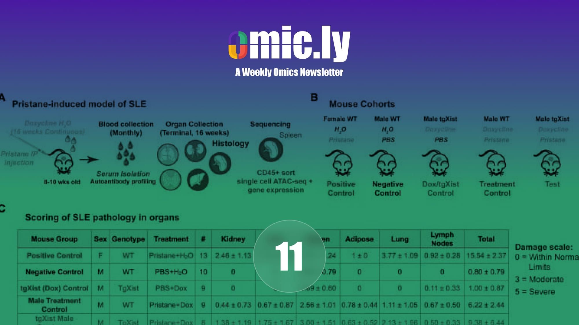 Omic.ly Premium 11