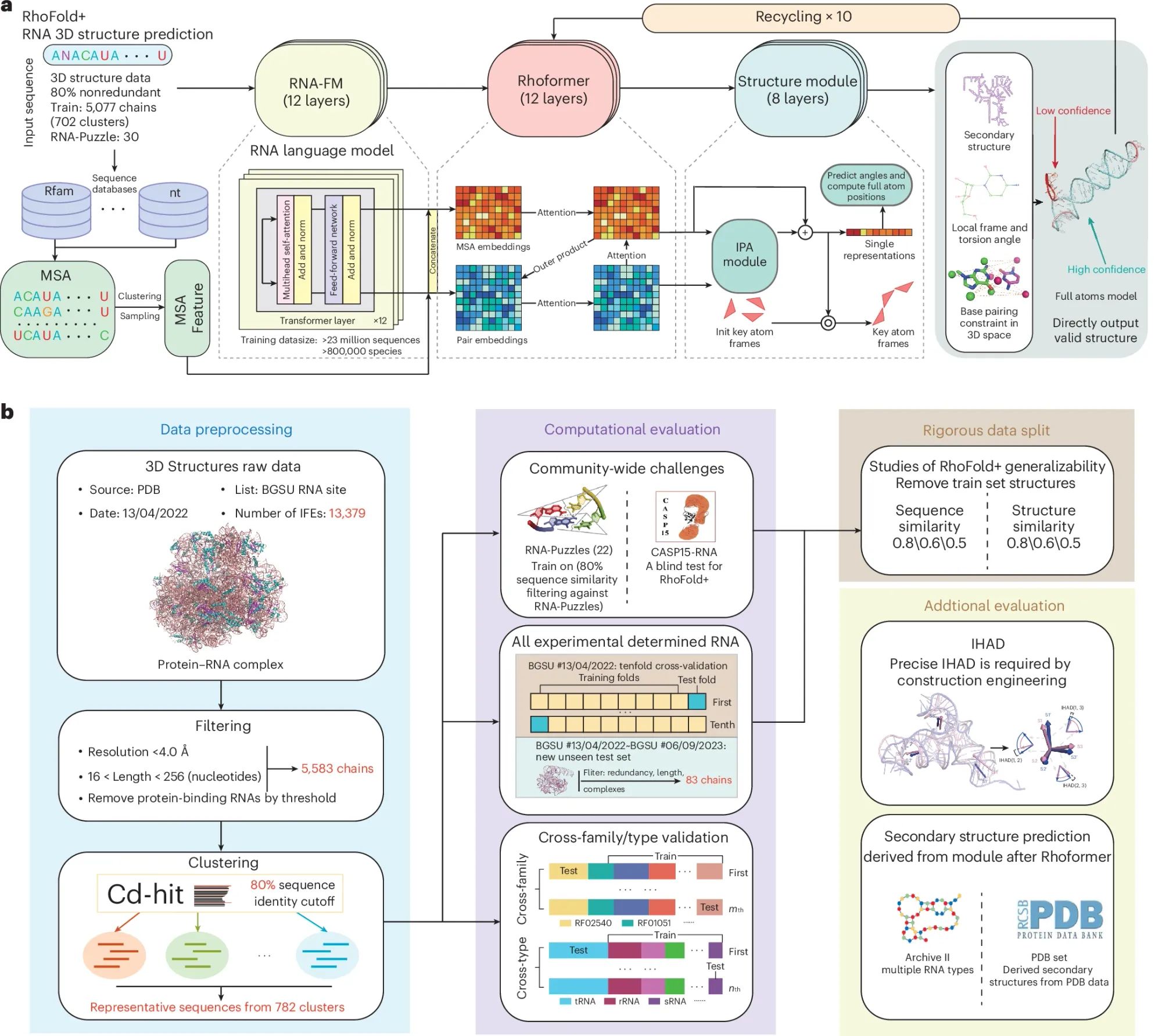 RhoFold+: A large language model for RNA structure prediction