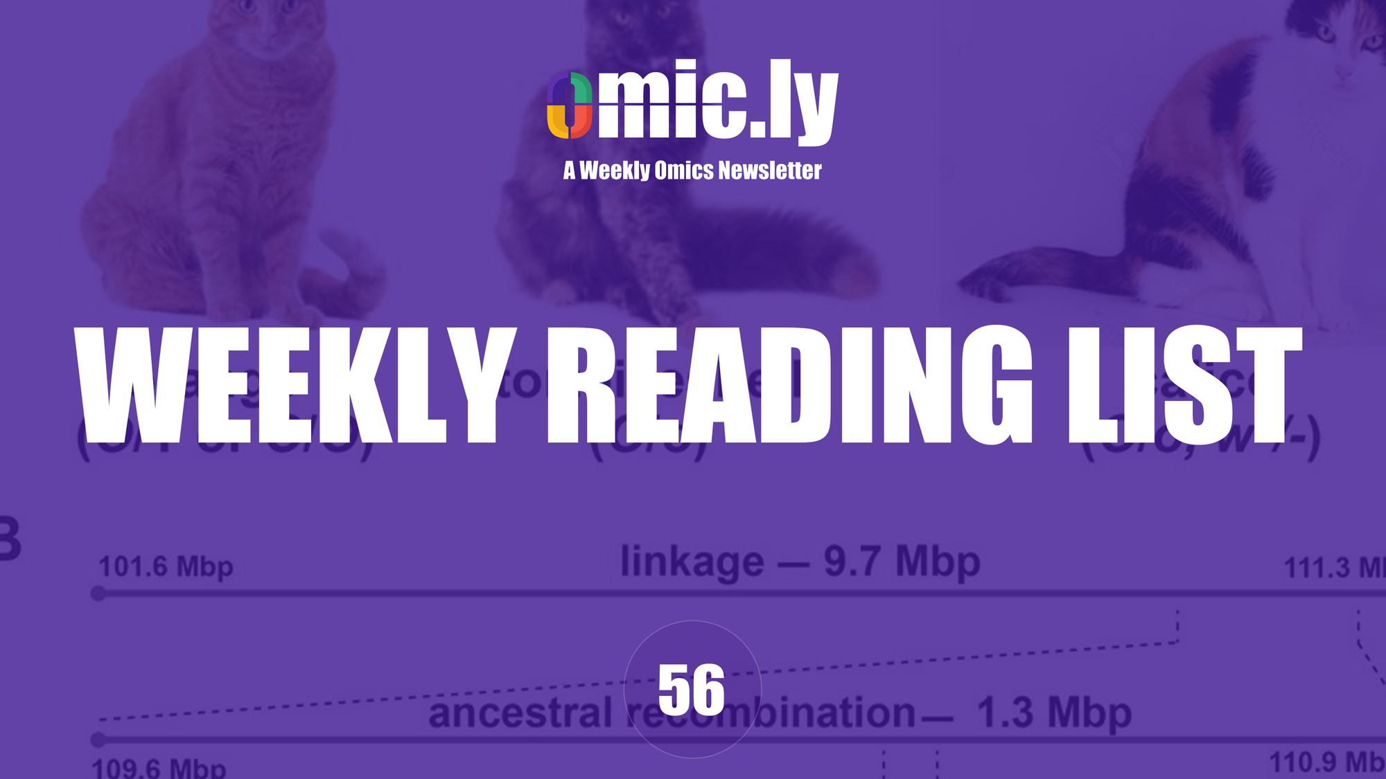 Weekly Reading List: Dec 30, 2024