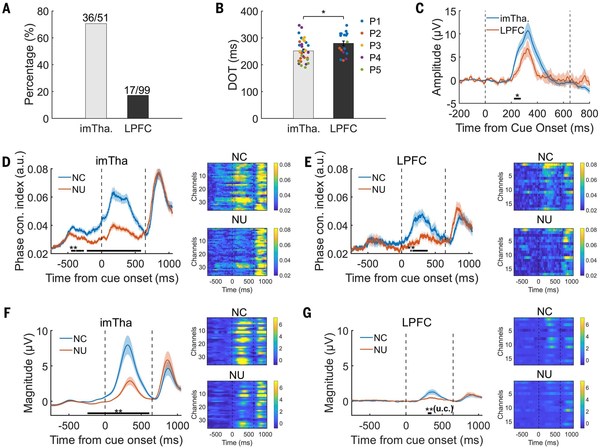 How does the brain control perception of everything around us?