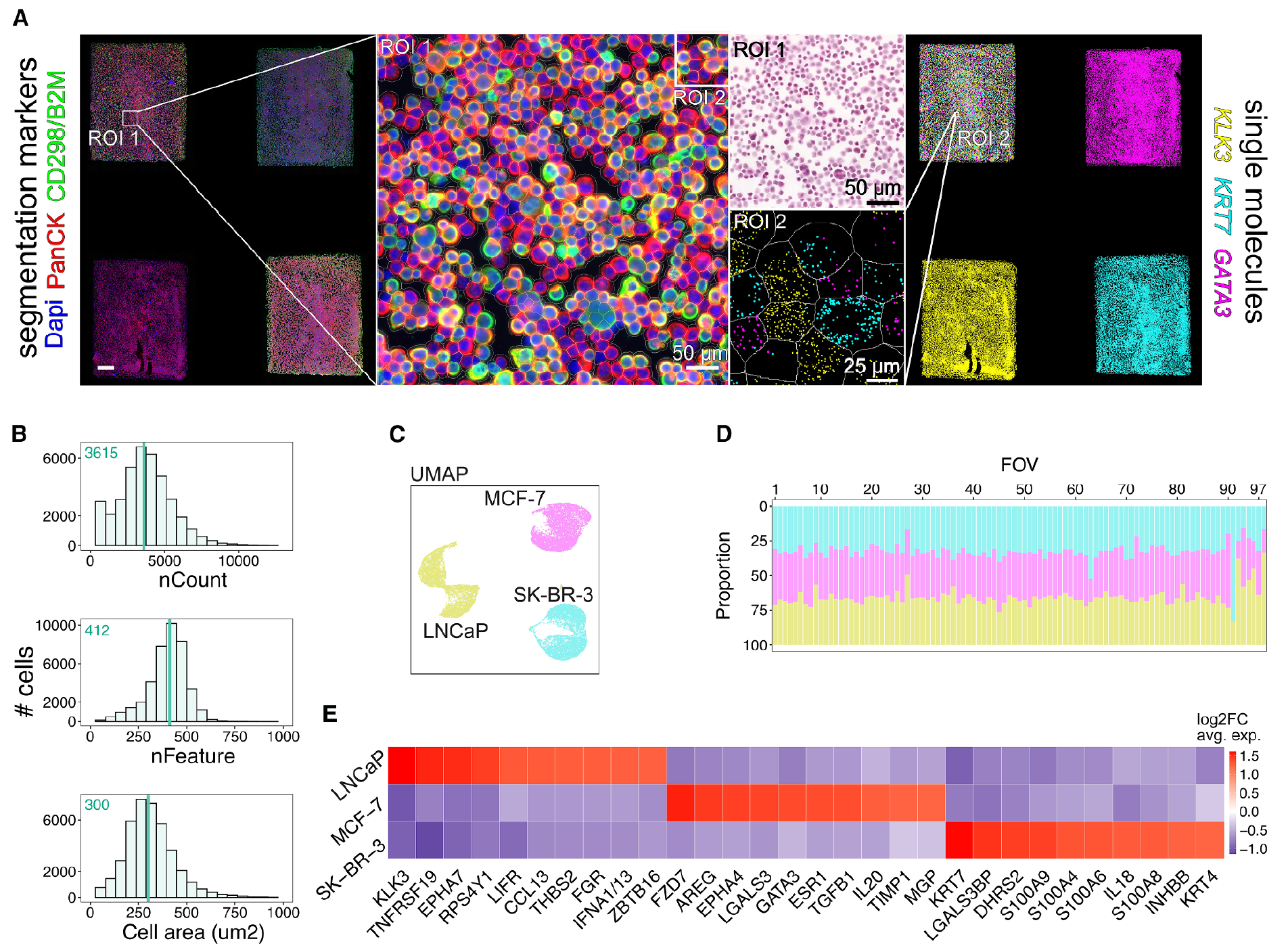 STAMP brings us non-destructive single-cell profiling without the sequencing