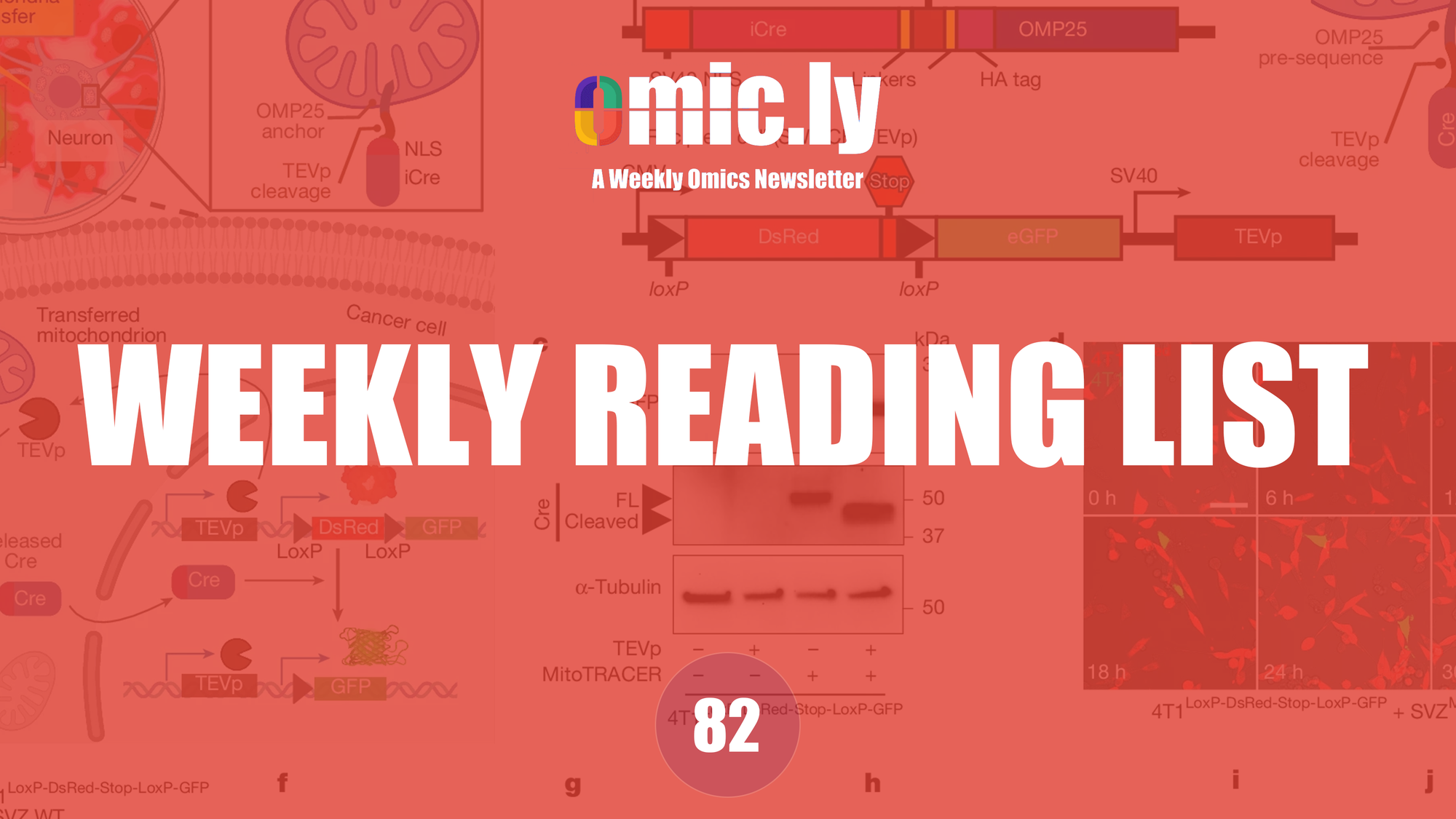 Weekly Reading List: July 7, 2025
