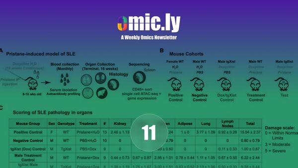 Omic.ly Premium 11