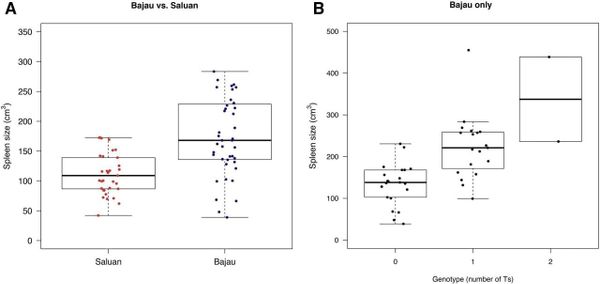 Have you ever wanted a superpower? Me too!