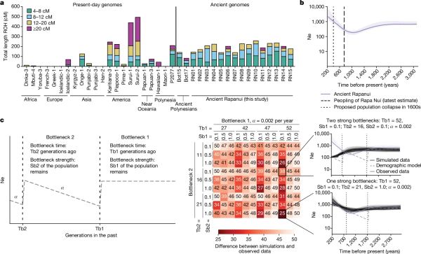 A genetic investigation into the 'population collapse' at Easter Island