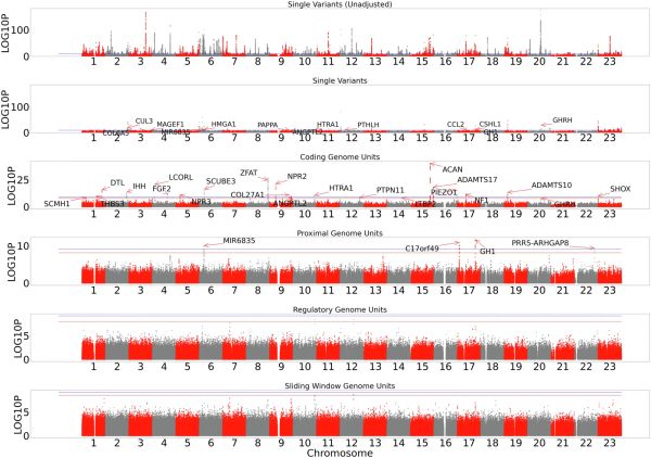 Complex genetic traits are getting taken to new heights